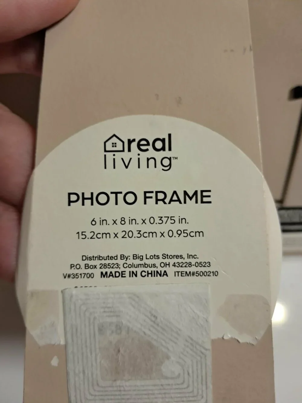 Real Living 4x6 Cream Botanical Arched Photo Frame
